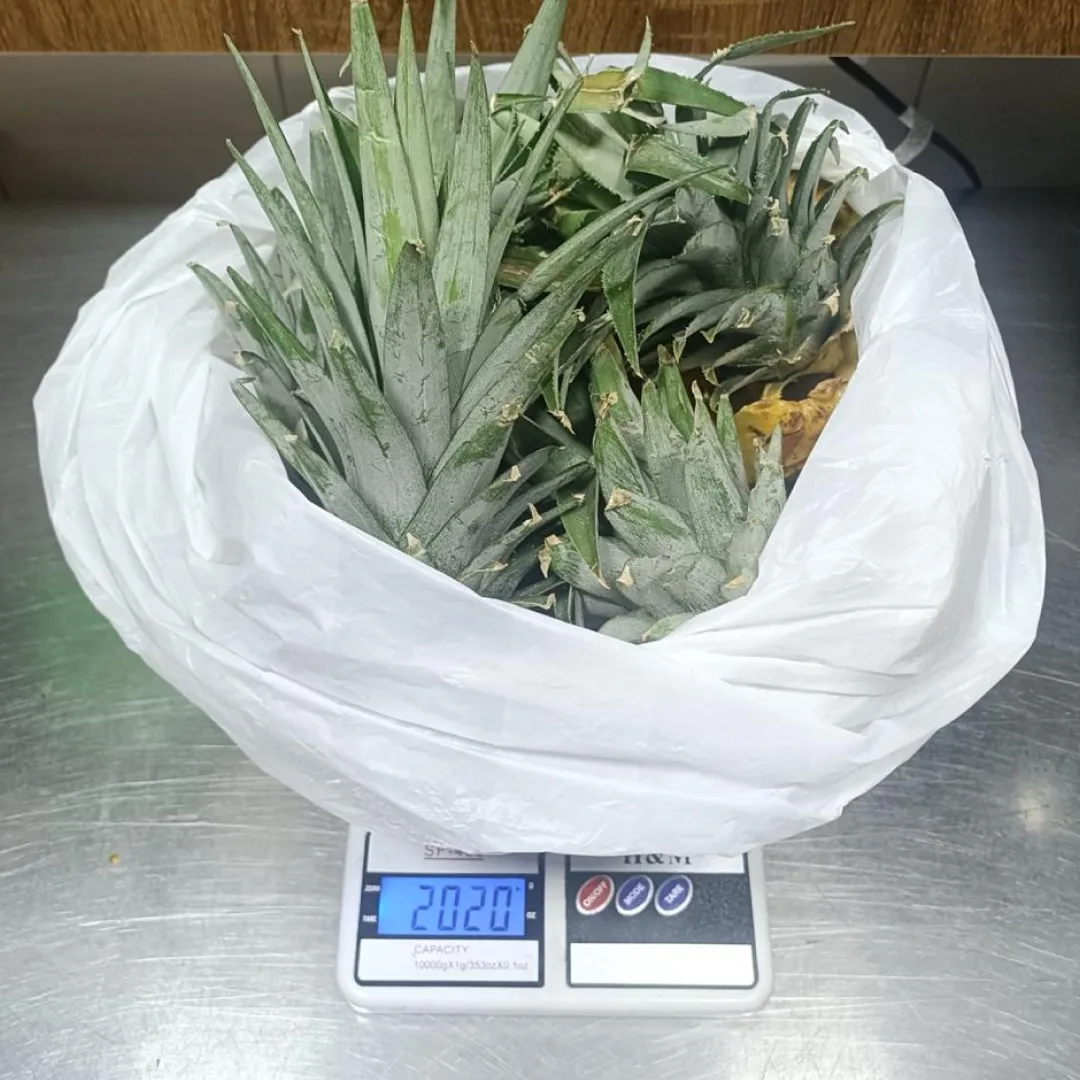 Balanza con residuos orgánicos de cocina antes de su aprovechamiento